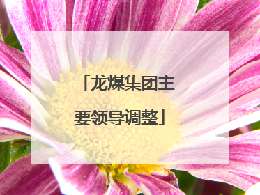 龙煤集团主要领导调整