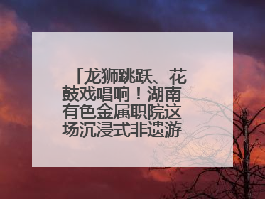 龙狮跳跃、花鼓戏唱响！湖南有色金属职院这场沉浸式非遗游园活动很带感