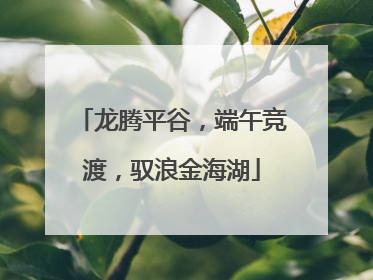 龙腾平谷，端午竞渡，驭浪金海湖