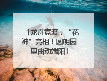 龙舟竞渡，“花神”亮相！圆明园里曲动端阳