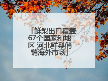 鲜梨出口覆盖67个国家和地区 河北鲜梨俏销海外市场
