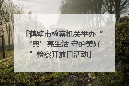 鹤壁市检察机关举办“‘典’亮生活 守护美好”检察开放日活动