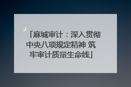 麻城审计：深入贯彻中央八项规定精神 筑牢审计质量生命线