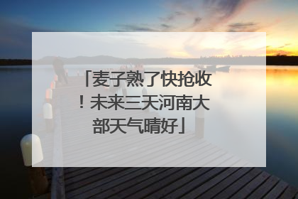 麦子熟了快抢收！未来三天河南大部天气晴好