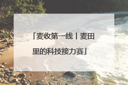 麦收第一线丨麦田里的科技接力赛