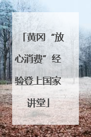 黄冈“放心消费”经验登上国家讲堂