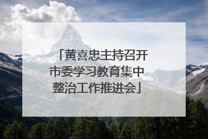 黄喜忠主持召开市委学习教育集中整治工作推进会