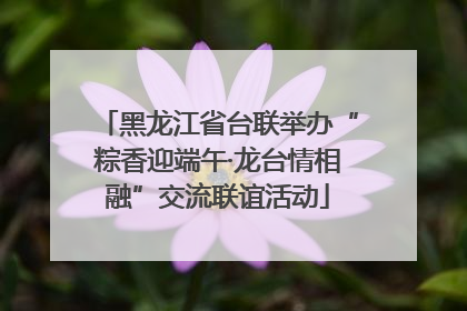 黑龙江省台联举办“粽香迎端午·龙台情相融”交流联谊活动