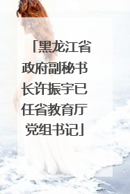 黑龙江省政府副秘书长许振宇已任省教育厅党组书记