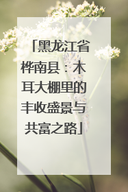 黑龙江省桦南县：木耳大棚里的丰收盛景与共富之路