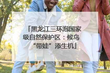 黑龙江三环泡国家级自然保护区：候鸟“带娃”添生机