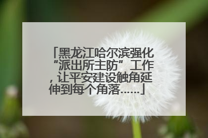 黑龙江哈尔滨强化“派出所主防”工作，让平安建设触角延伸到每个角落……