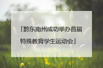 黔东南州成功举办首届特殊教育学生运动会