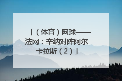 （体育）网球——法网：辛纳对阵阿尔卡拉斯（2）