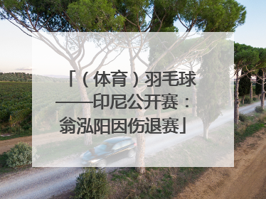 （体育）羽毛球——印尼公开赛：翁泓阳因伤退赛