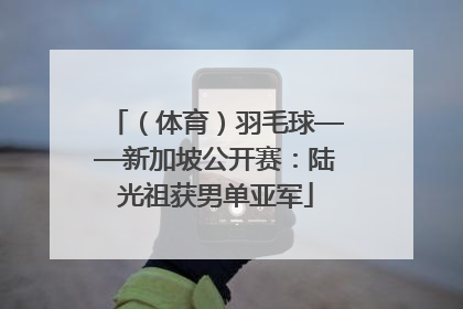 （体育）羽毛球——新加坡公开赛：陆光祖获男单亚军
