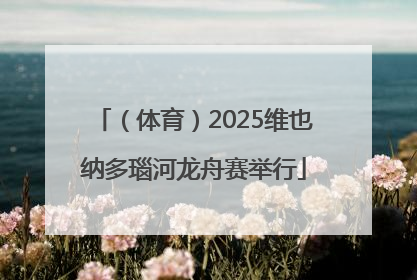 （体育）2025维也纳多瑙河龙舟赛举行
