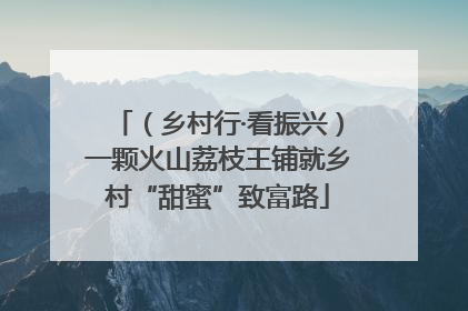 （乡村行·看振兴）一颗火山荔枝王铺就乡村“甜蜜”致富路