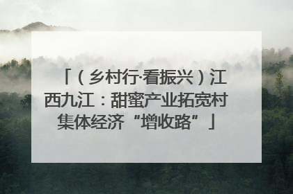 （乡村行·看振兴）江西九江：甜蜜产业拓宽村集体经济“增收路”