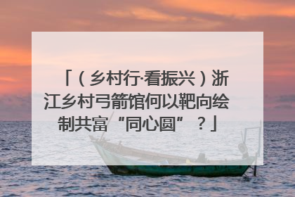 （乡村行·看振兴）浙江乡村弓箭馆何以靶向绘制共富“同心圆”？