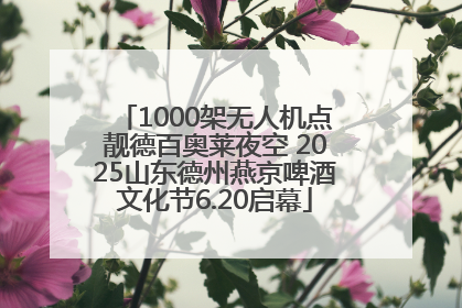 1000架无人机点靓德百奥莱夜空 2025山东德州燕京啤酒文化节6.20启幕
