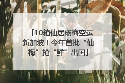 10箱仙居杨梅空运新加坡!今年首批“仙梅”抢“鲜”出国