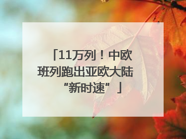 11万列！中欧班列跑出亚欧大陆“新时速”