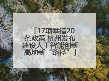 17项举措20条政策 杭州发布建设人工智能创新高地新“路径”