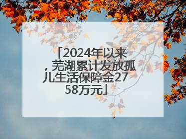 2024年以来，芜湖累计发放孤儿生活保障金2758万元
