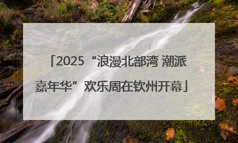 2025“浪漫北部湾 潮派嘉年华”欢乐周在钦州开幕