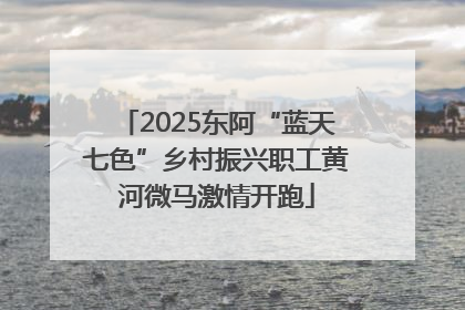 2025东阿“蓝天七色”乡村振兴职工黄河微马激情开跑