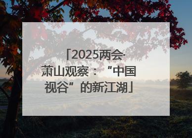 2025两会·萧山观察：“中国视谷”的新江湖