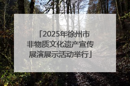 2025年徐州市非物质文化遗产宣传展演展示活动举行