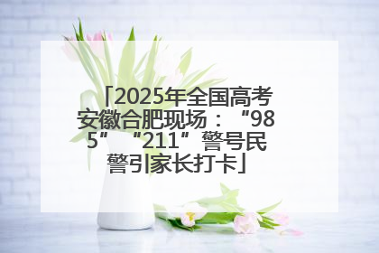 2025年全国高考安徽合肥现场：“985”“211”警号民警引家长打卡