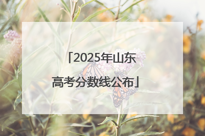 2025年山东高考分数线公布