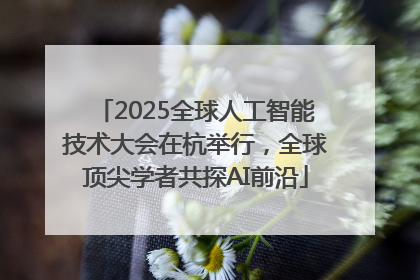 2025全球人工智能技术大会在杭举行，全球顶尖学者共探AI前沿