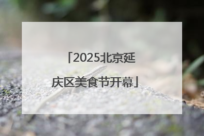 2025北京延庆区美食节开幕