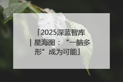 2025深蓝智库｜星海图：“一脑多形”成为可能