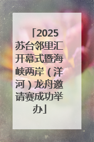 2025苏台邻里汇开幕式暨海峡两岸（洋河）龙舟邀请赛成功举办