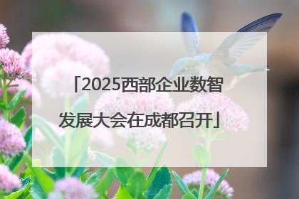 2025西部企业数智发展大会在成都召开