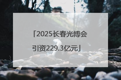 2025长春光博会引资229.3亿元