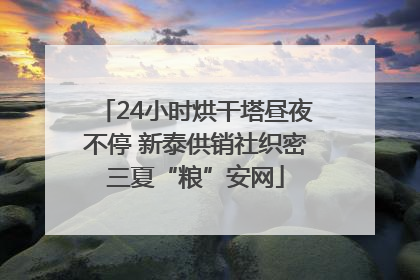 24小时烘干塔昼夜不停 新泰供销社织密三夏“粮”安网