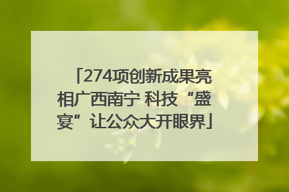 274项创新成果亮相广西南宁 科技“盛宴”让公众大开眼界