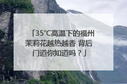 35℃高温下的福州茉莉花越热越香 背后门道你知道吗？
