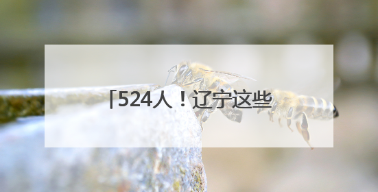 524人！辽宁这些事业单位公开招聘