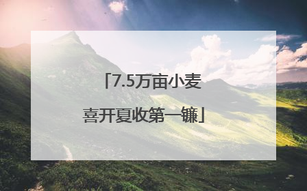 7.5万亩小麦喜开夏收第一镰