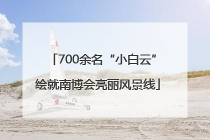 700余名“小白云”绘就南博会亮丽风景线