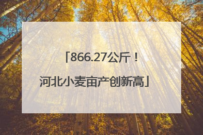 866.27公斤！河北小麦亩产创新高