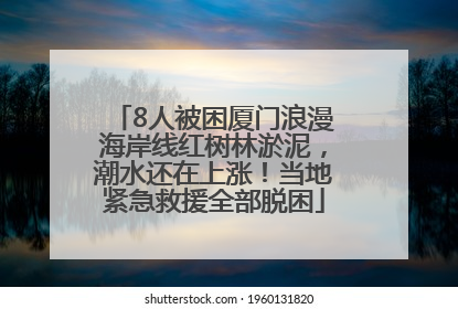 8人被困厦门浪漫海岸线红树林淤泥，潮水还在上涨！当地紧急救援全部脱困