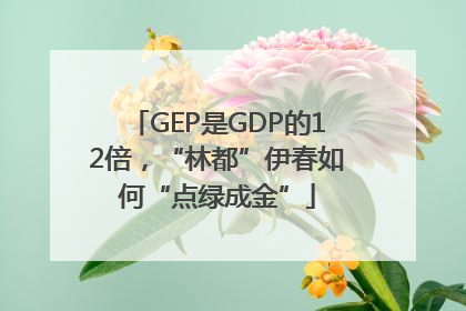 GEP是GDP的12倍，“林都”伊春如何“点绿成金”
